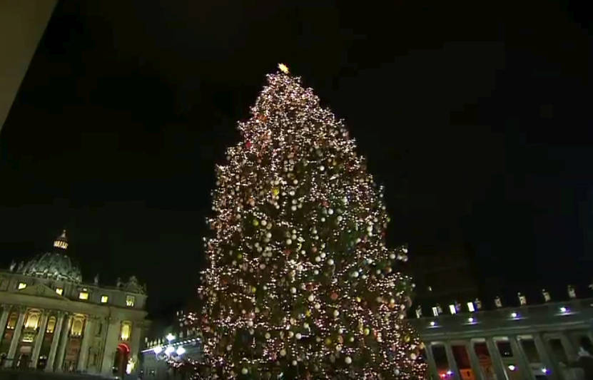 Christbaum am Petersplatz