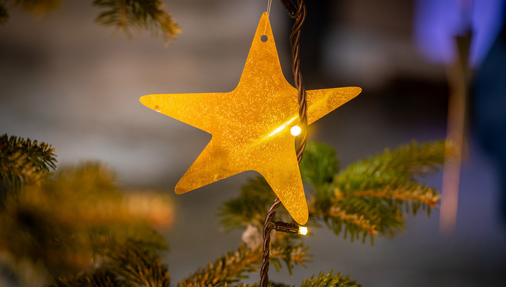 Lichterketten und Sterne auf den Christm?umen am Domplatz.