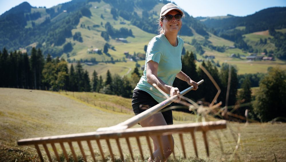 Schweizer Caritas sucht Sommerhelfer für Bergbauernfamilien