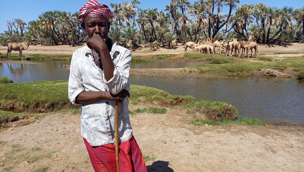 Kenia, Marsabit: Vor der Dürre hatte der Viehhalter Guyo Galgallo, hier bei einer Wasserstelle bei North Horr, 400 Ziegen und 67 Kamele. Nur fünf Ziegen und vier Kamele haben überlebt.