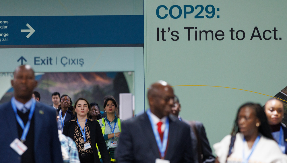 Teilnehmer bei Weltklimakonferenz COP29 in Baku