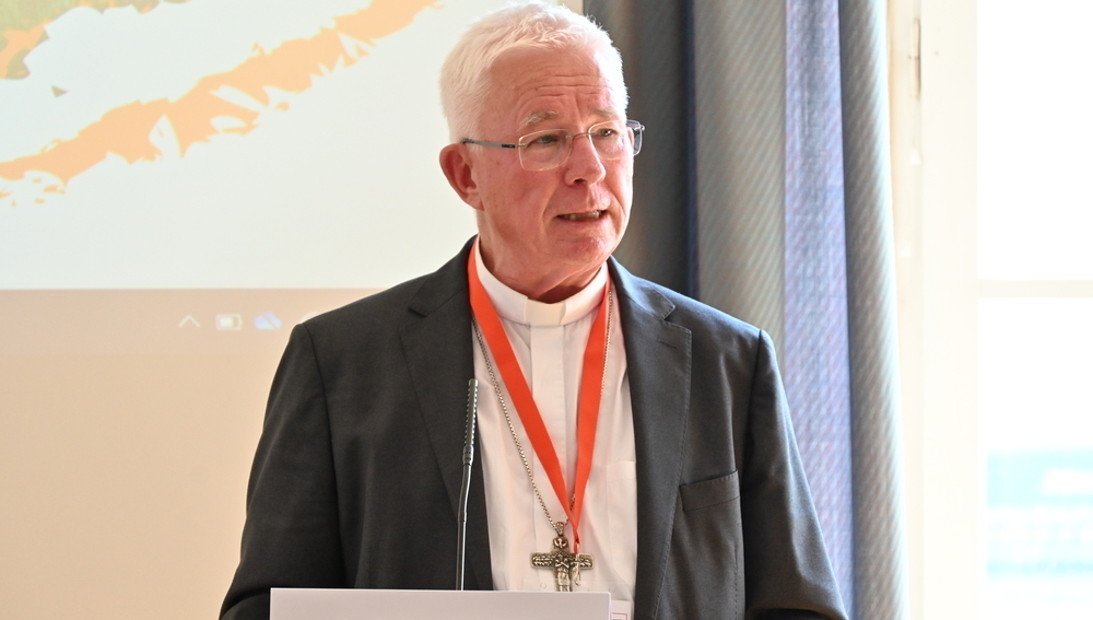 Synod is an essential step that will continue